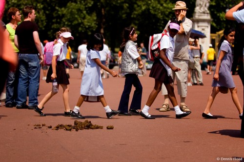 Crowd Walking Past Horse Dung