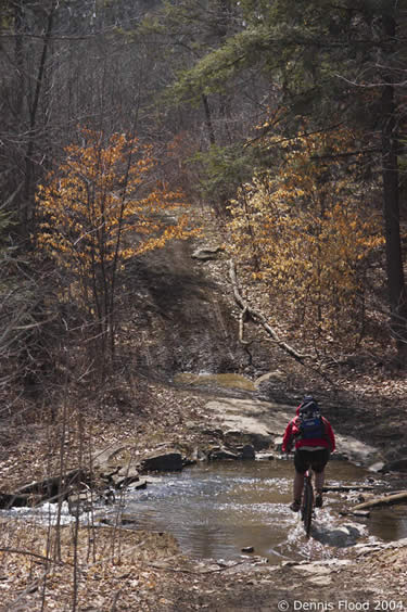 Mountain Biker Crossing Stream