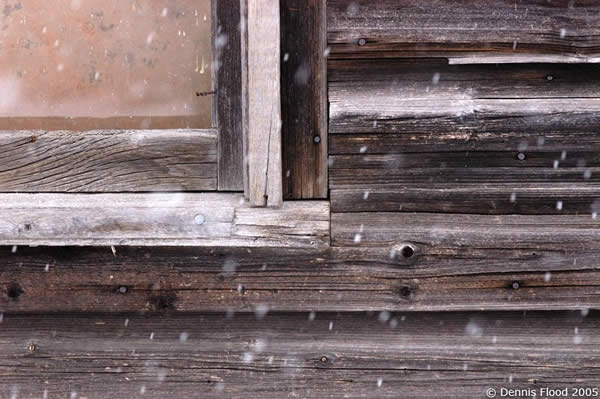 Old Wood on a Snowy Day