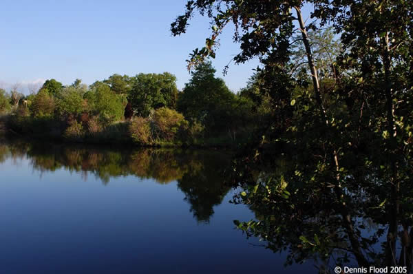 Over the Blue Pond