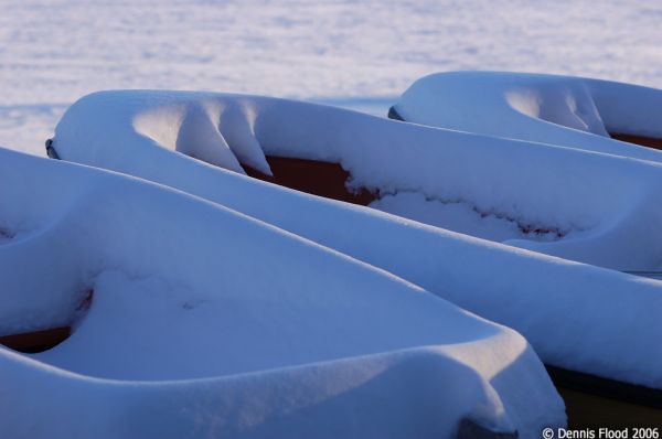 Snowy Boats